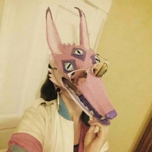 Meet your Posher, Shelby